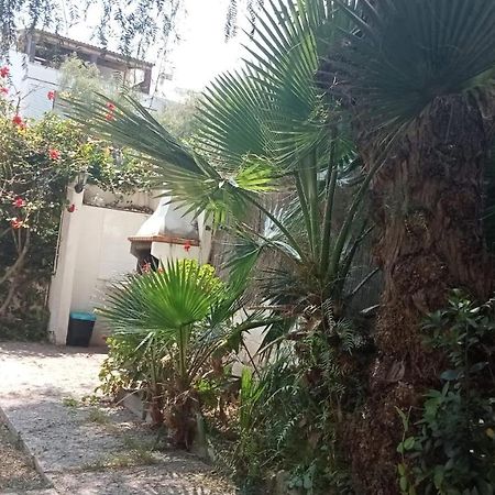 Apartamento - Jardin En Playa San Sebastian Sitges Exterior foto